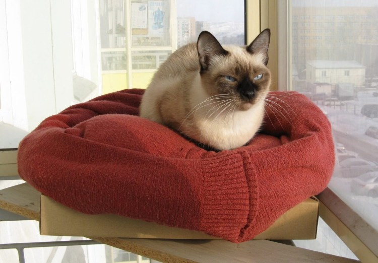 Лежанка для кошки из кофты
