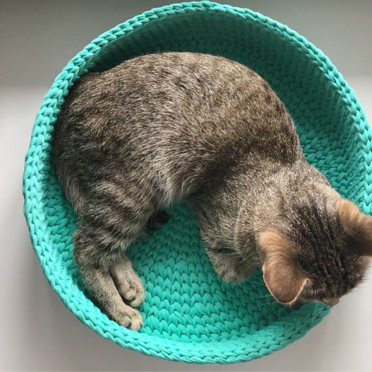 Шьем лежанку для кошки