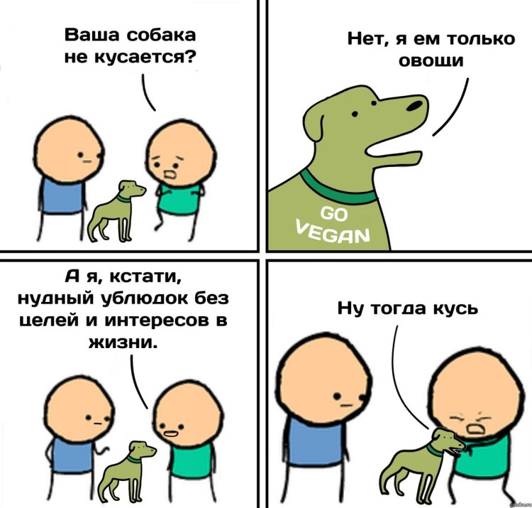 Тибетский мастиф злой