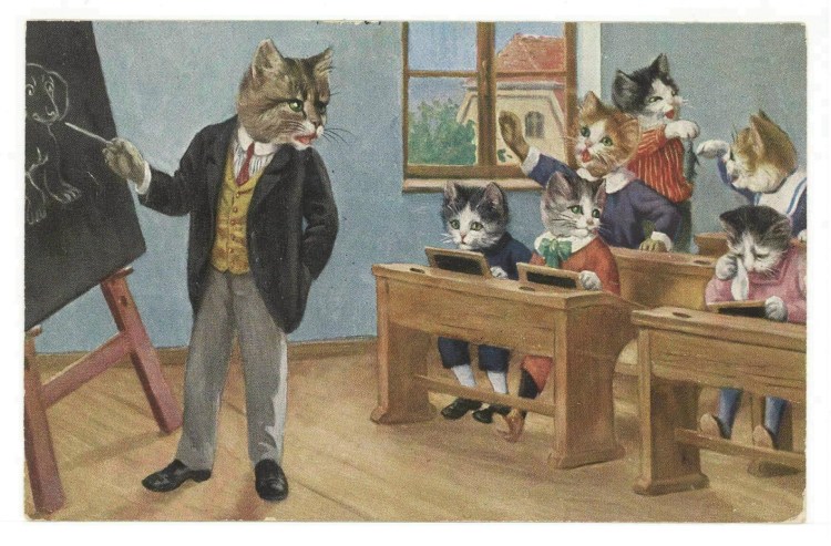 Кот учитель