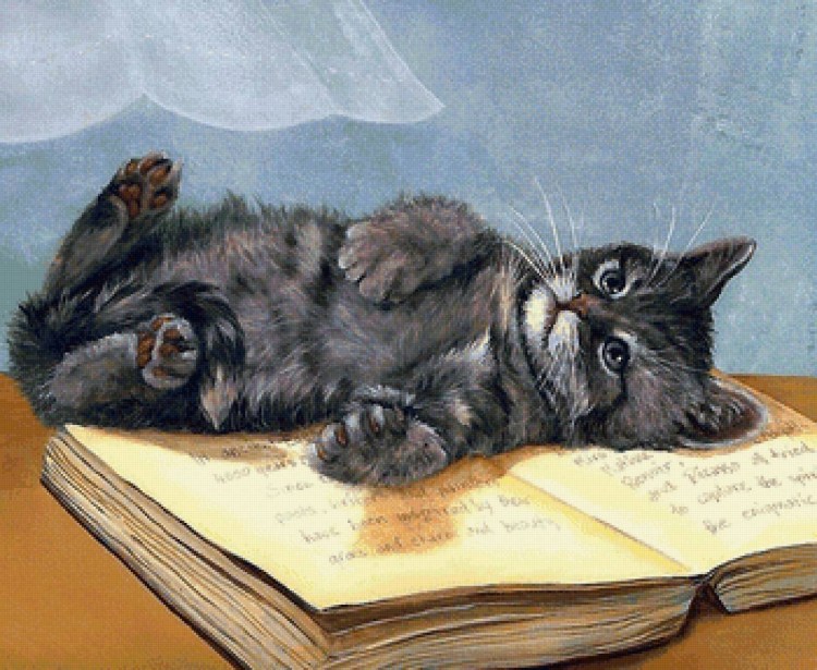 Котёнок с книжкой