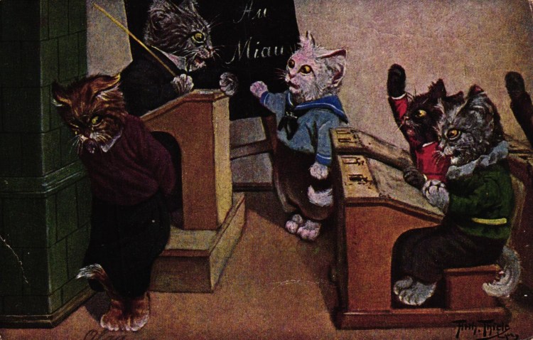 Артура Тилле, "Кошачья школа