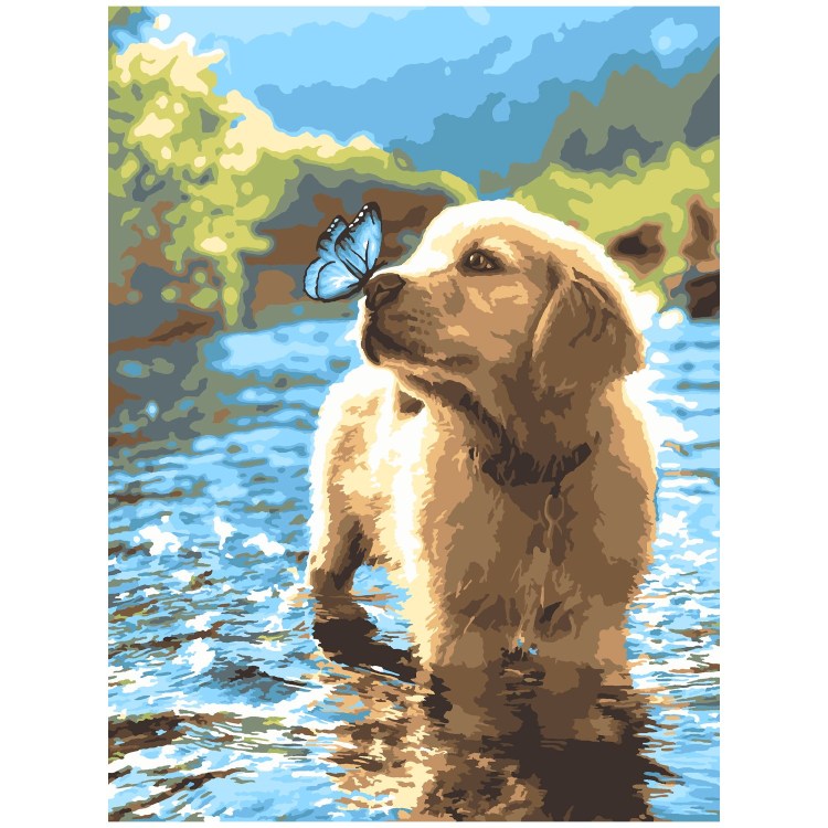 Паппи золотистый ретривер