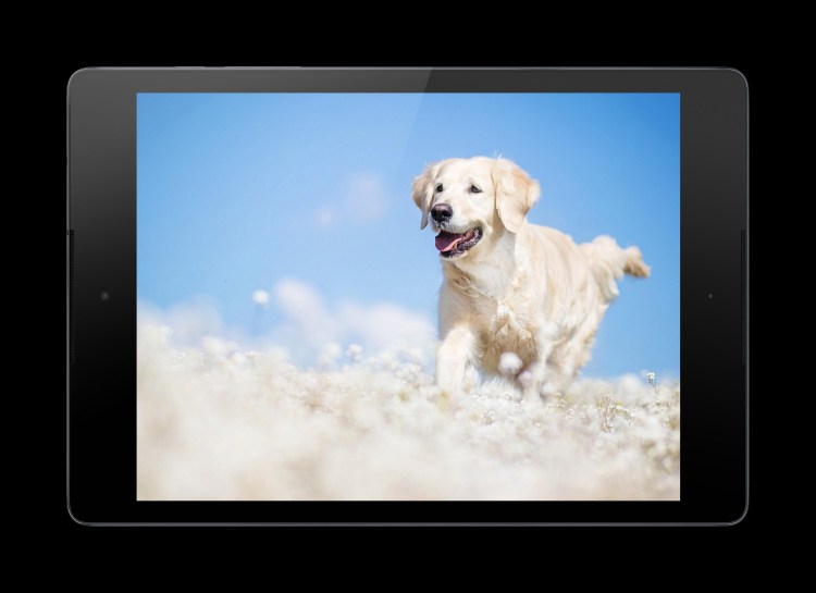 Ограждение для животных Savic Dog Barrier Gate Indoor a3212 62х75 см