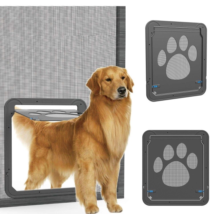 Немецкая овчарка вислоухая