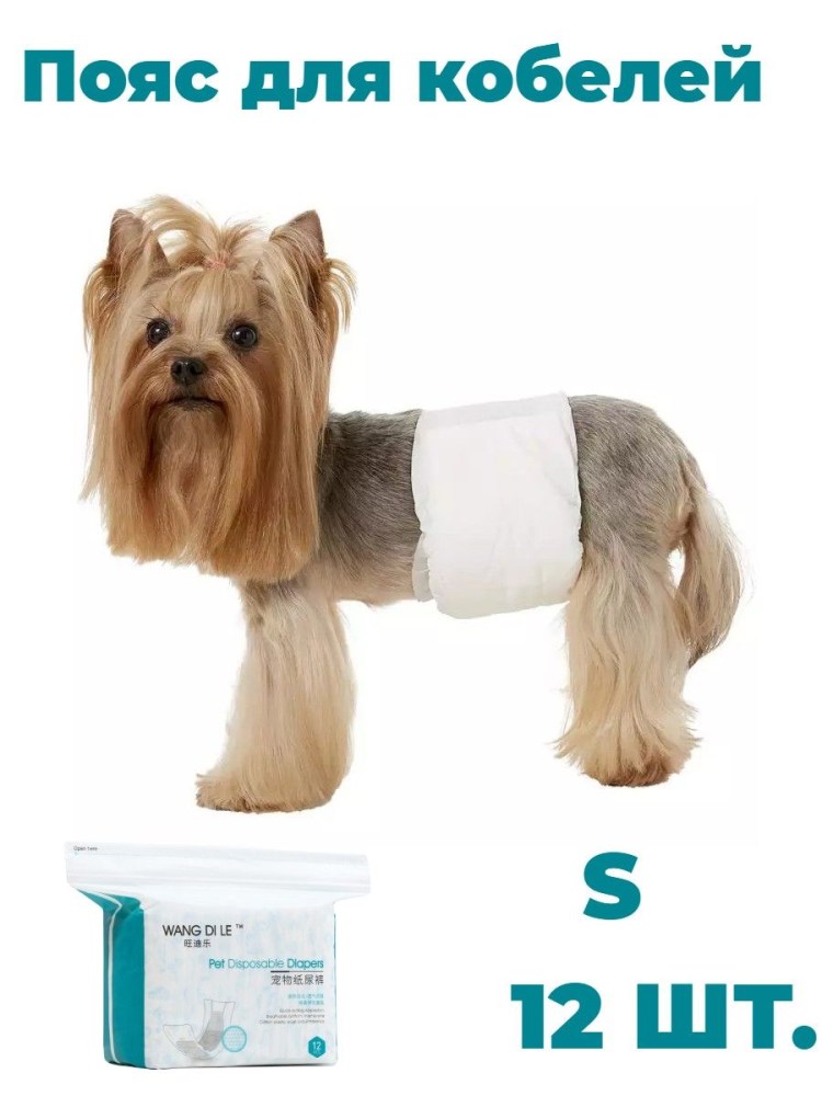 Памперсы для собак мелких пород