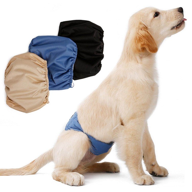 Подгузники для собак Ebi d&d Dog Pants Classic l