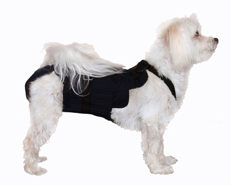 23631 Памперс для собак