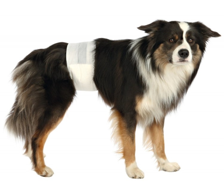 Памперсы для собак Trixie XL