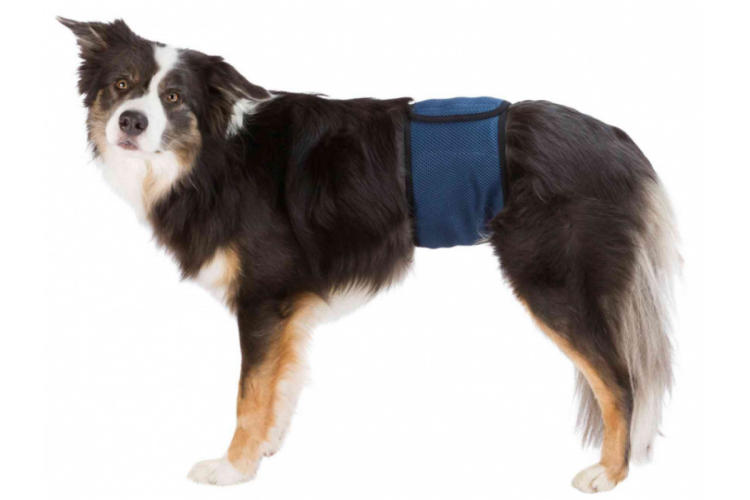 Пояс для кобелей Trixie тёмно-синий XL 65 - 75 см