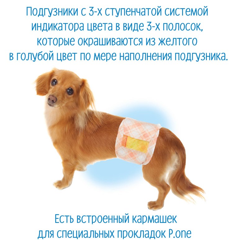 Подгузники для собак Japan Premium Pet PMO-704