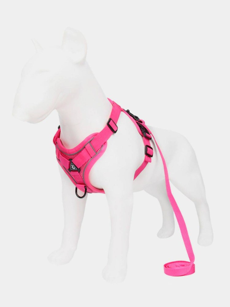 Комплект для кошек "Зооник", поводок + шлейка