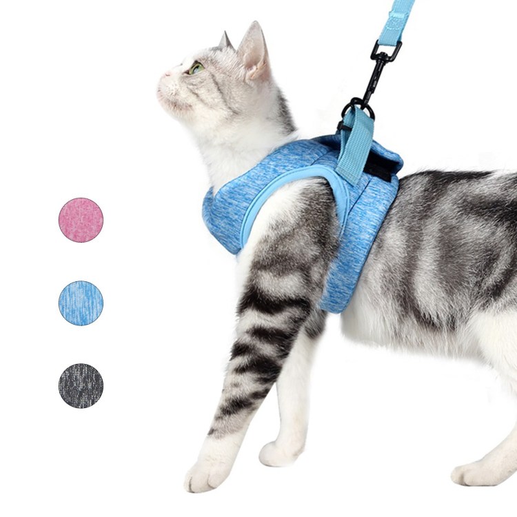 Кошачий поводок