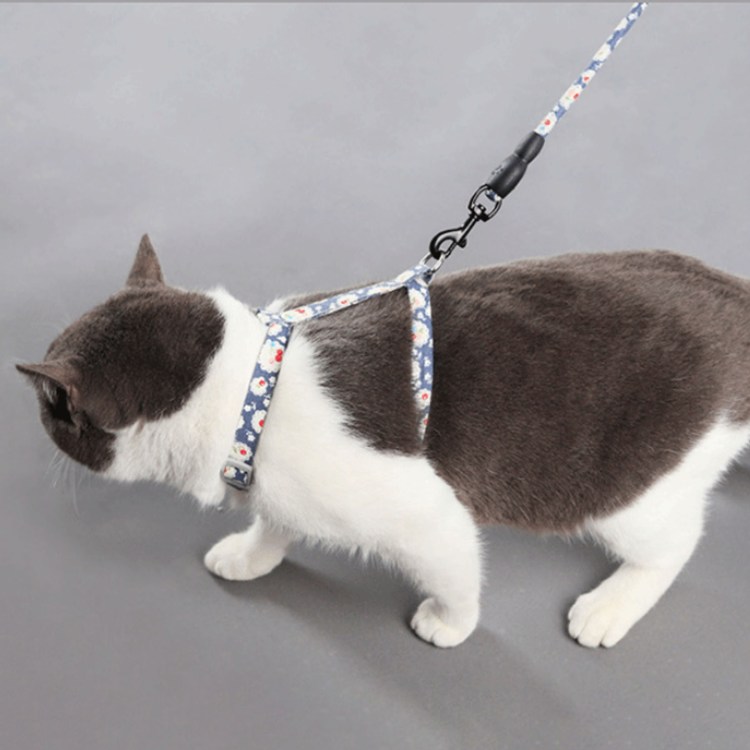 Шлейка для котят