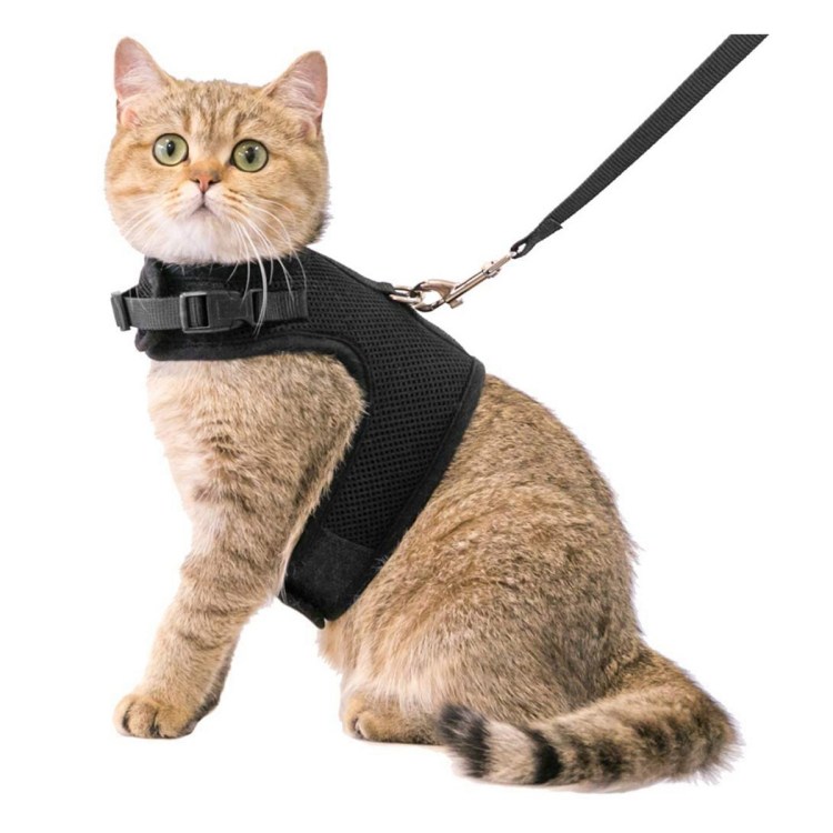 Шлейка мягкая с поводком для кошек, XL: 36–54 см, 1,20 м, чёрный