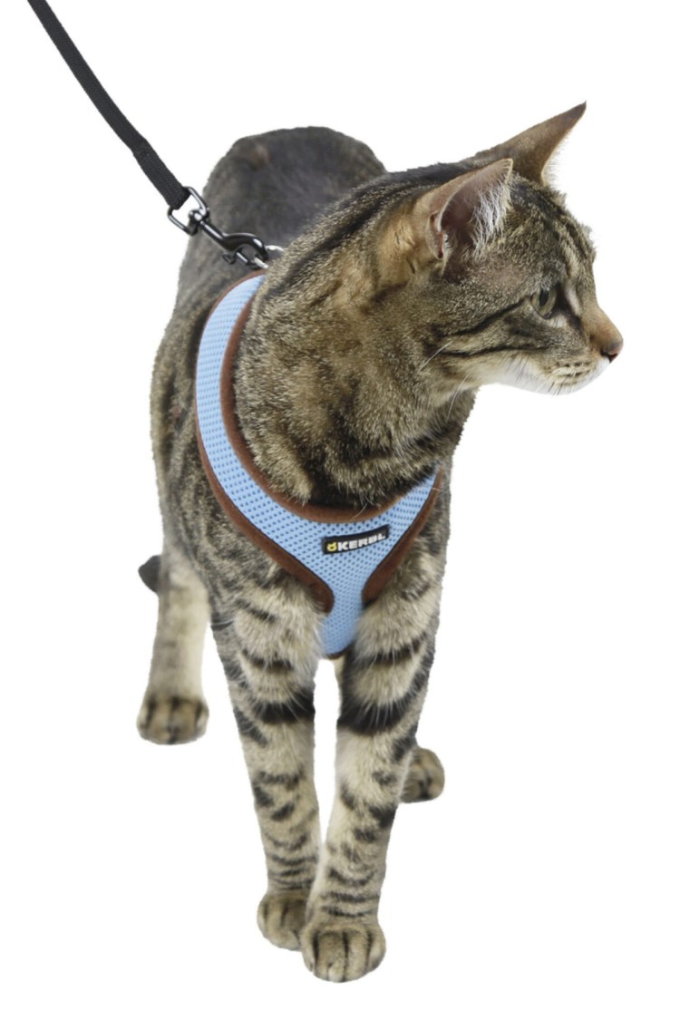 Шлейка трикси для крупных кошек