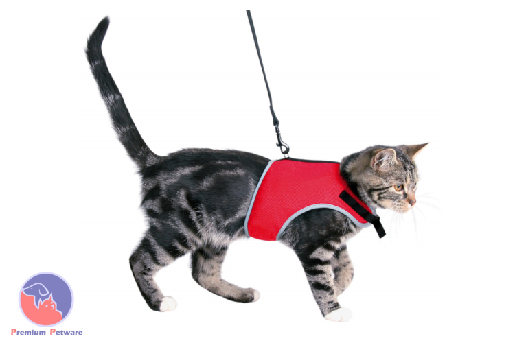 Шлейка для кошки Trixie