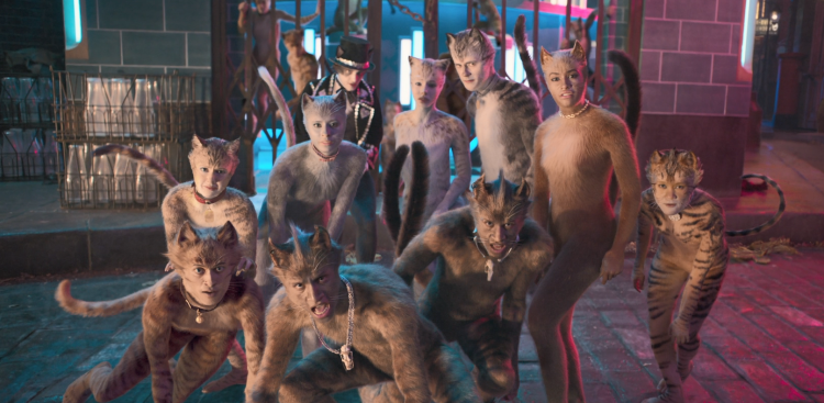 Необычные коты