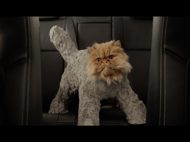 Мейн кун 60 кг