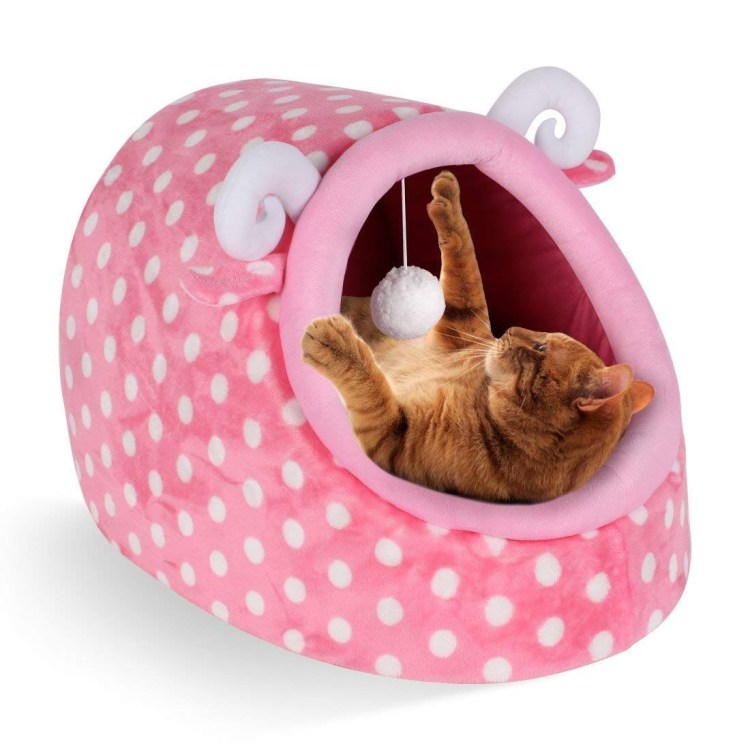 Вещи для котят