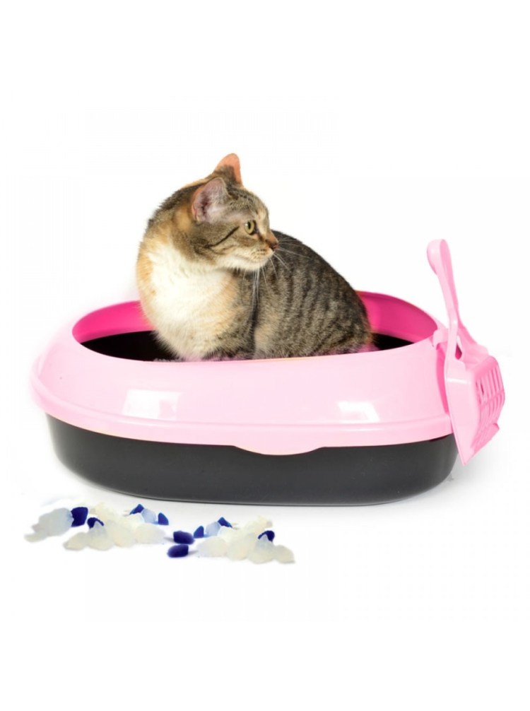 Принадлежности для котов