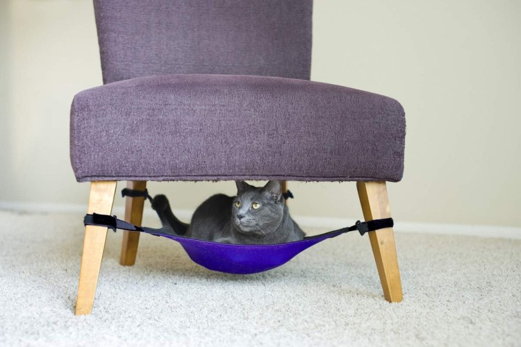 Необычные вещи для кошек