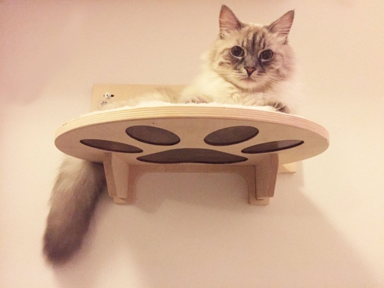 Мебель для кошек стеклянная