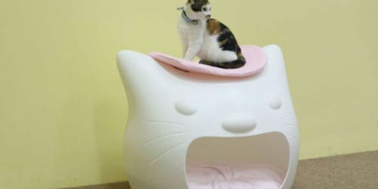 Прикольный дом кота