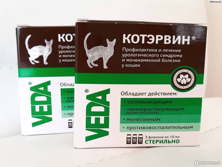 Корм Royal Canin renal пауч
