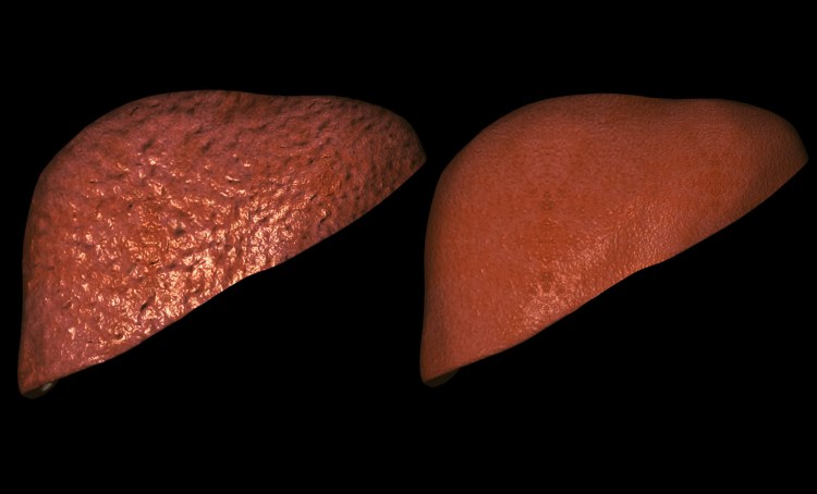 Рентген собаки опухоль