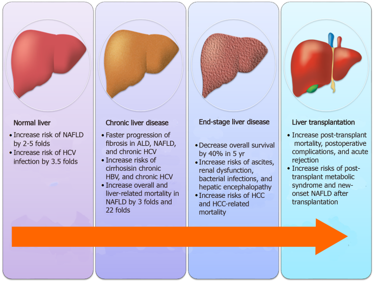 Лекарство от цирроза печени