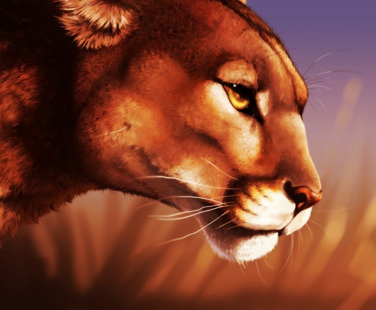 Львица на аву