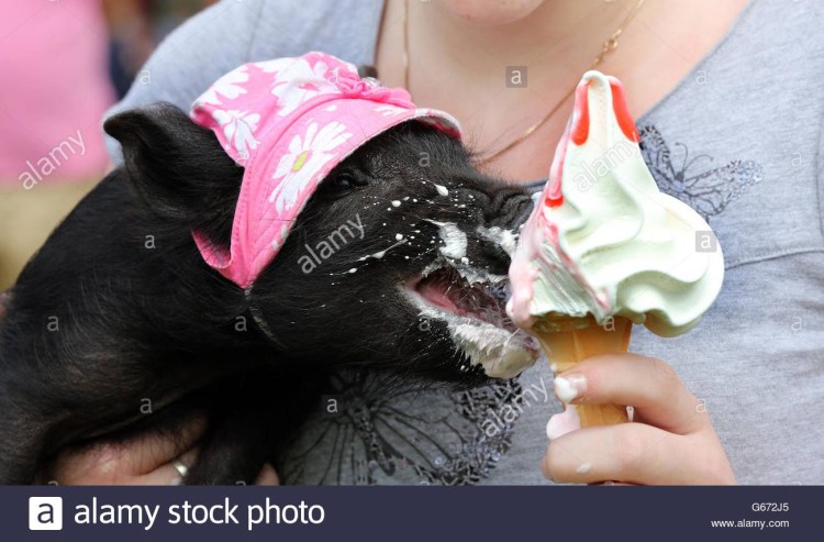 Прикольное мороженое