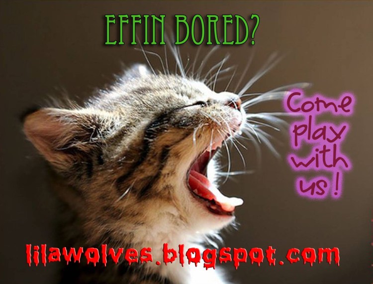 Милый котик зевает