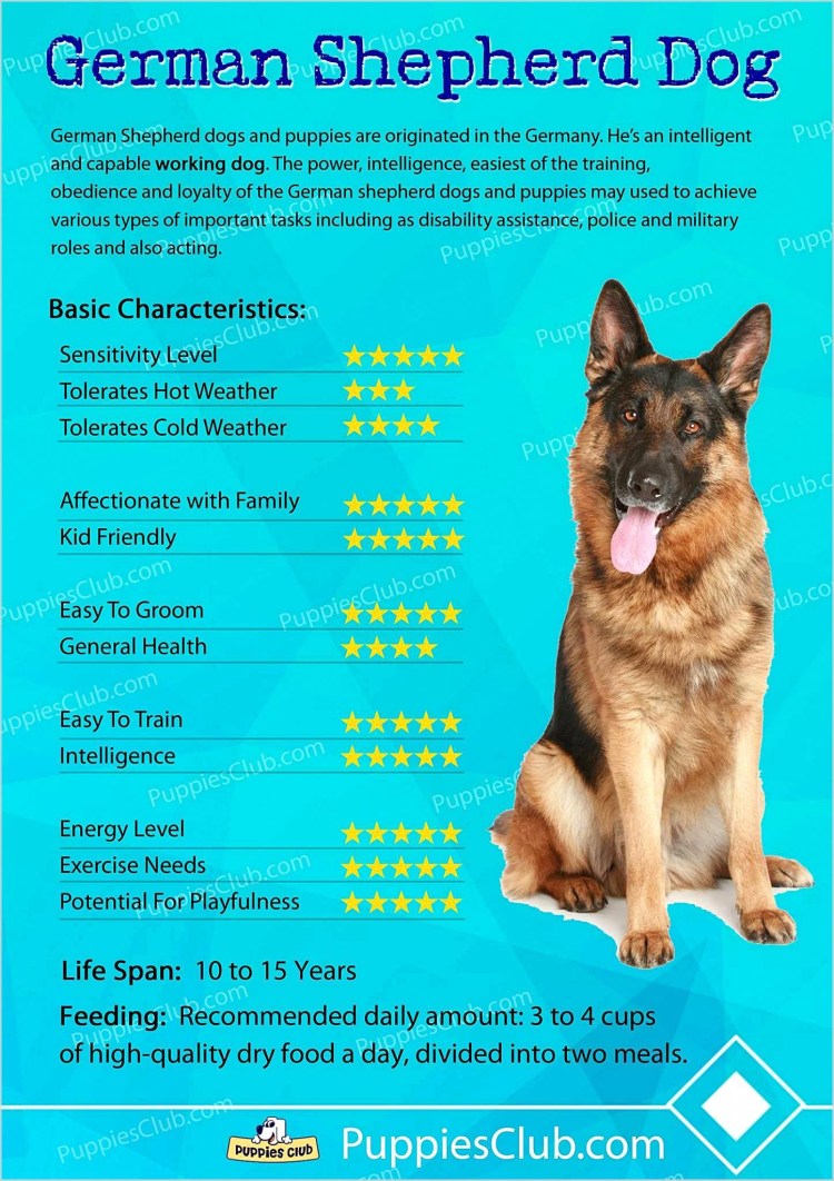 Чем кормить овчарку