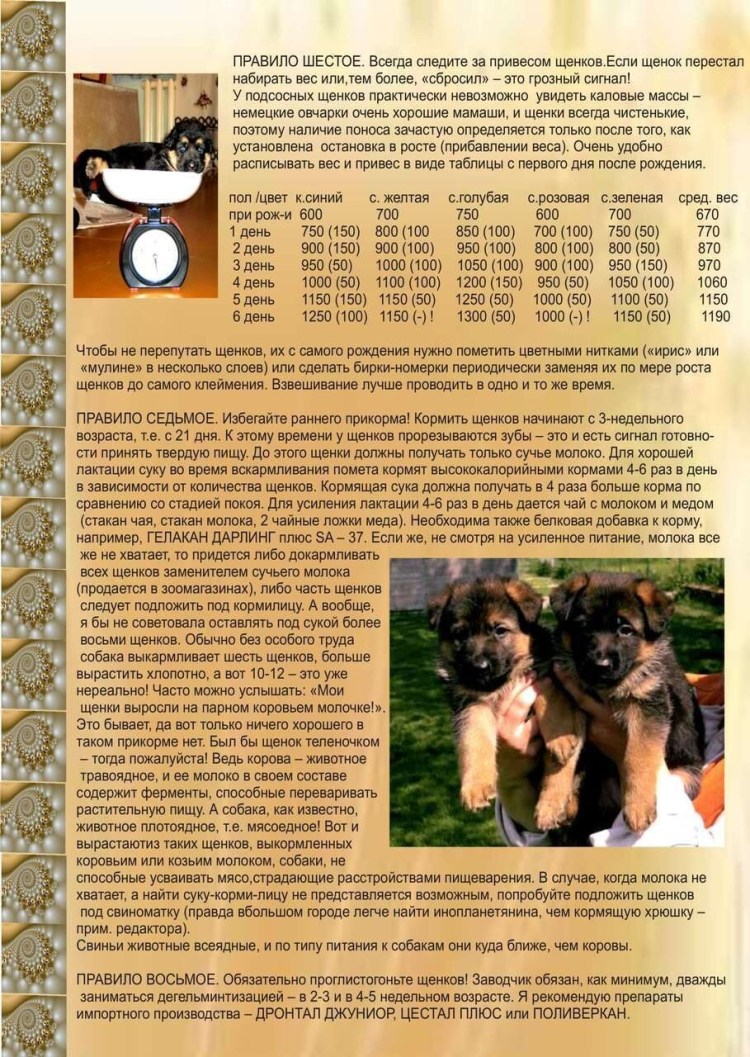 Кормление немецкой овчарки до года