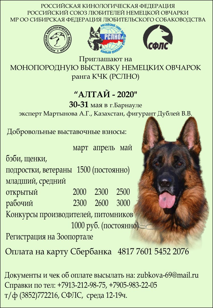 Титулы немецкой овчарки