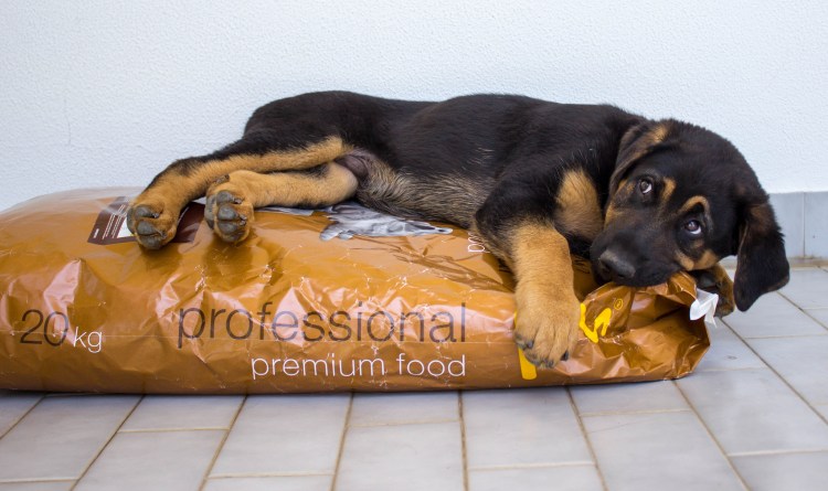 Еда для щенков овчарки