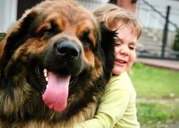 Собака для детей