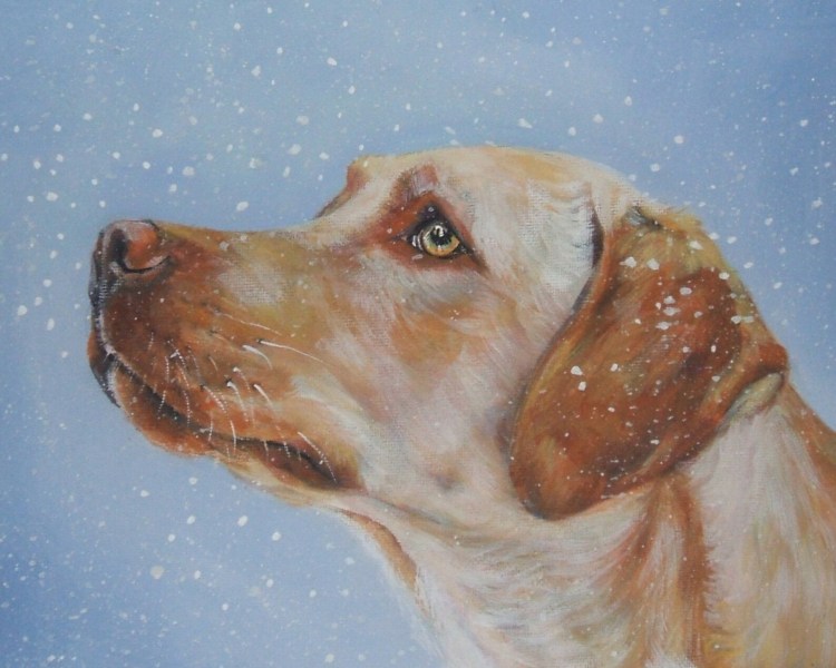 Лабрадор гуашью