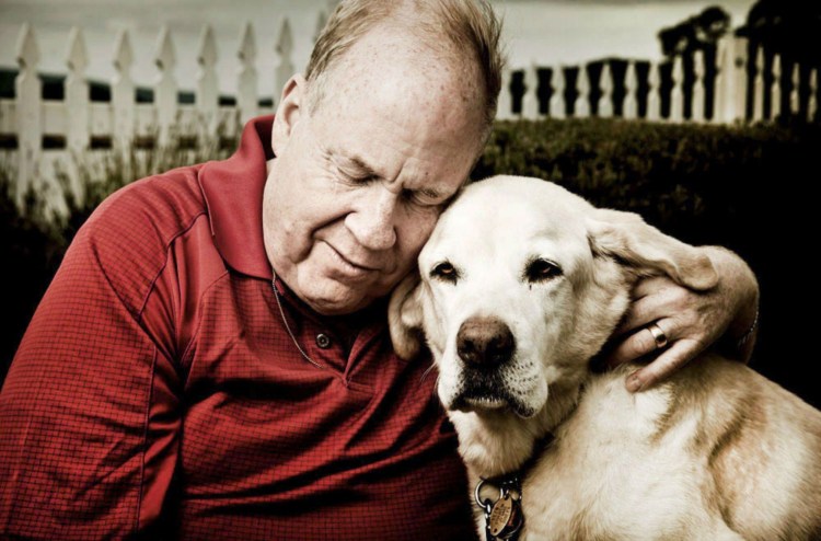 Собака друг человека