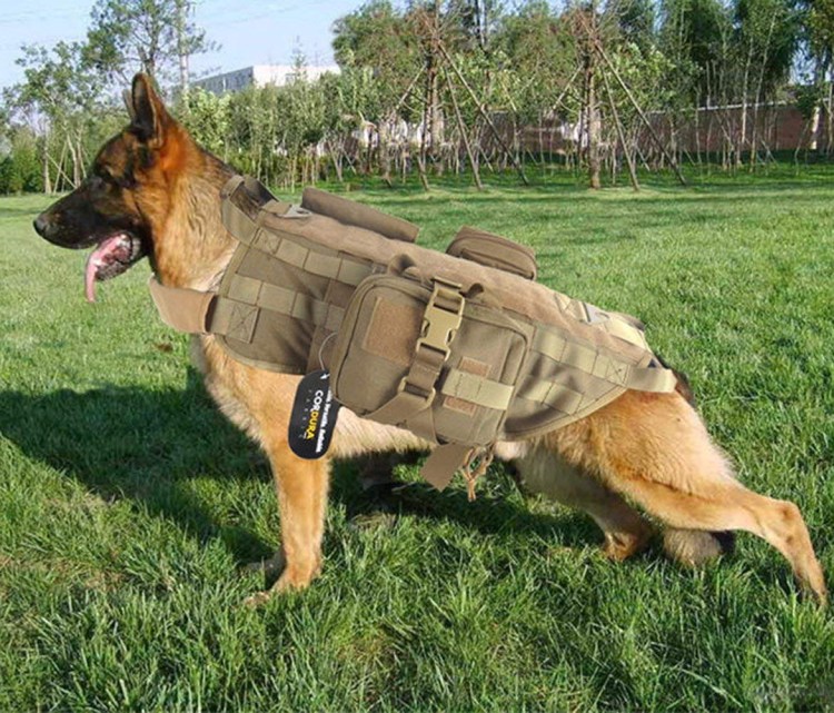 Тактический жилет k9