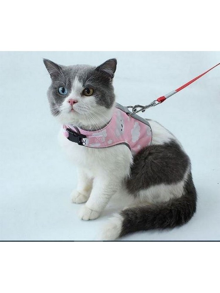 Ошейники и поводки для кошек