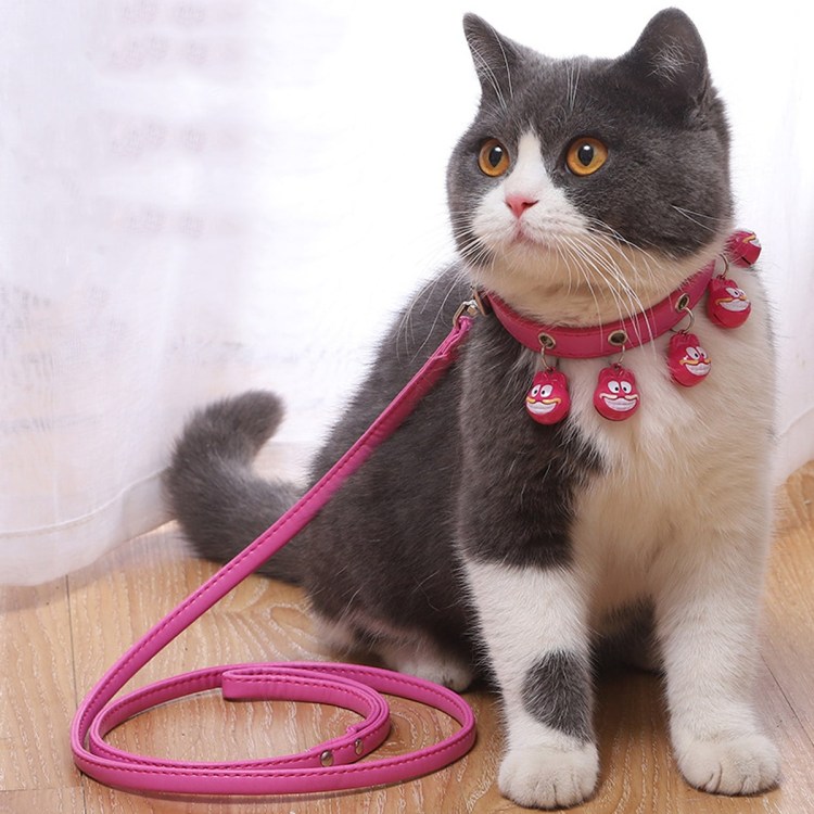 Ошейник для кота