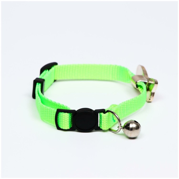 Ошейник для кошек декоративный