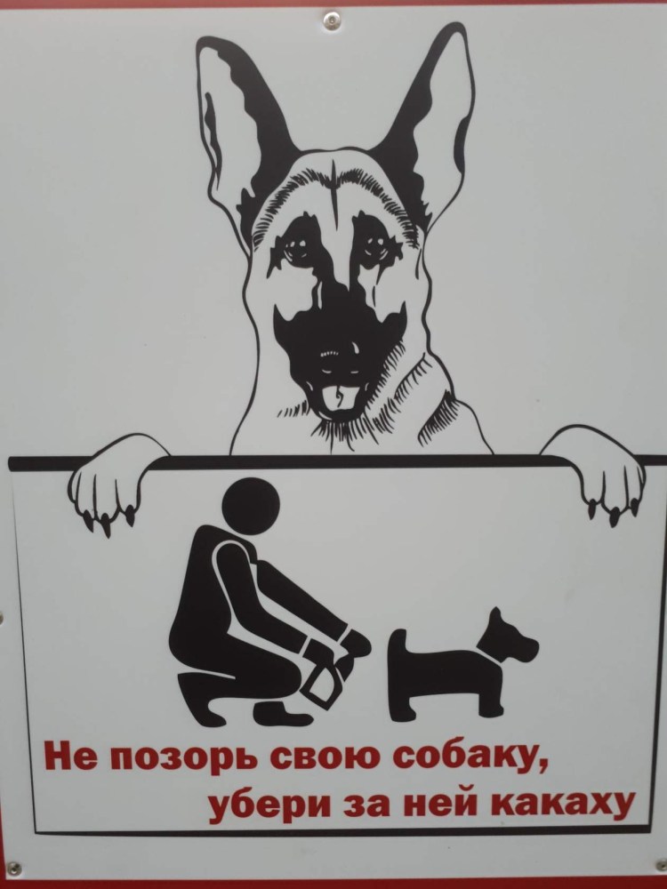 Таблички для собачников