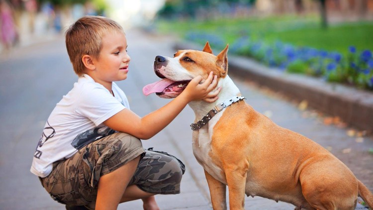 Мальчик с собакой