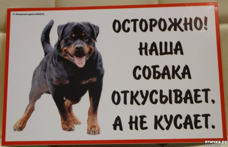 Осторожно злая собака табличка ротвейлер