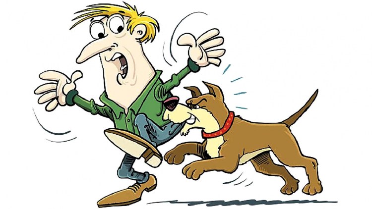 Бездомная собака мультяшная