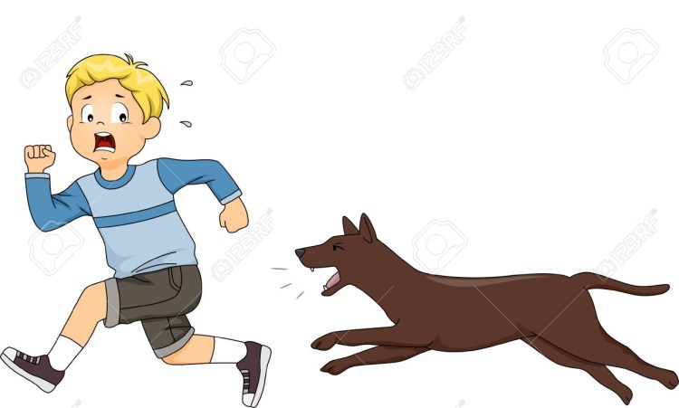 Мальчик бежит за собакой